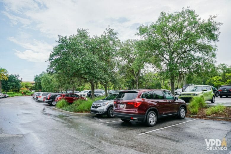 Imagem dos carros no estacionamento de um dos parques. Os hóspedes da Disney não pagam estacionamento nos parques, mas pagam nos hotéis.