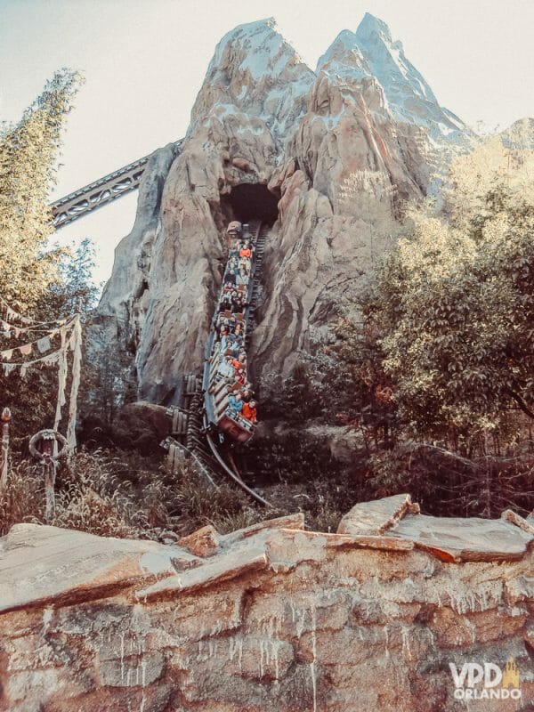 A Everest é a atração mais radical do Animal Kingdom, e uma das mais radicais de toda a Disney! Foto do carrinho saindo pela lateral da montanha, na montanha-russa Everest 