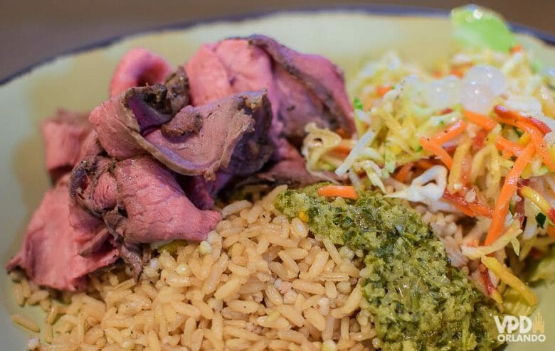 Foto do prato no Satu'li Canteen, no Animal Kingdom, com carne, arroz e vegetais. 
