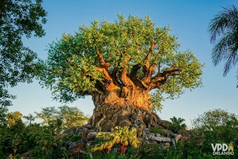 Foto da árvore da vida, que é símbolo do Animal Kingdom, com o céu azul ao fundo. 