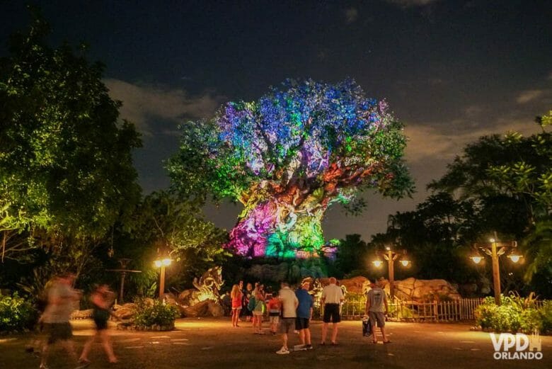 Vale ficar no Animal Kingdom até mais tarde. Foto da Árvore da Vida iluminada em diversas cores, durante a noite, com alguns visitantes por perto. 