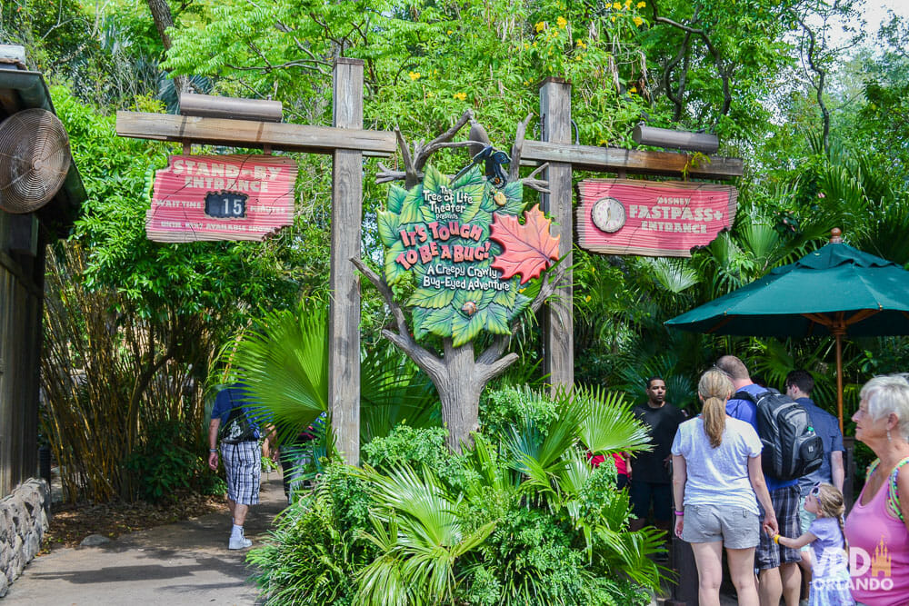 Animal Kingdom Roteiro Completo e Gratuito para aproveitar o parque
