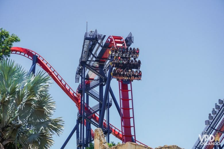 Sheikra: uma das montanhas russas mais famosas do Busch Gardens e com certeza imperdível pra quem gosta! Foto da montanha-russa Sheikra, do Busch Gardens. O carrinho está no alto de um looping, e é possível ver os trilhos curvados e o céu azul ao fundo. 