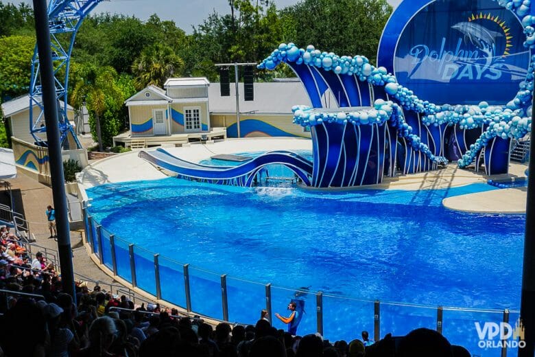 Além do show com as baleias, tem também o Dolphin Days com golfinhos no SeaWorld. Foto da piscina onde acontece o show com golfinhos Dolphin Days 
