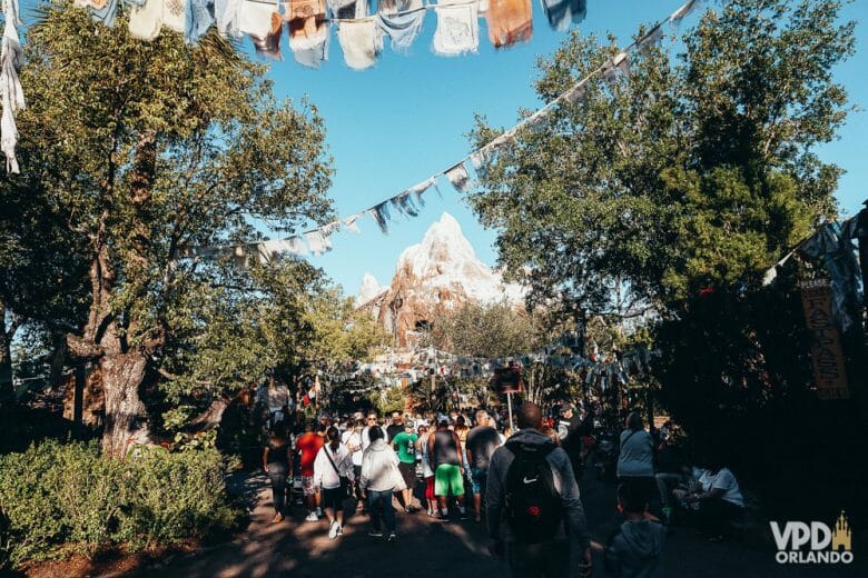 Foto da montanha-russa Everest, no Animal Kingdom, rodeada de árvores, com uma fila longa de visitantes. 