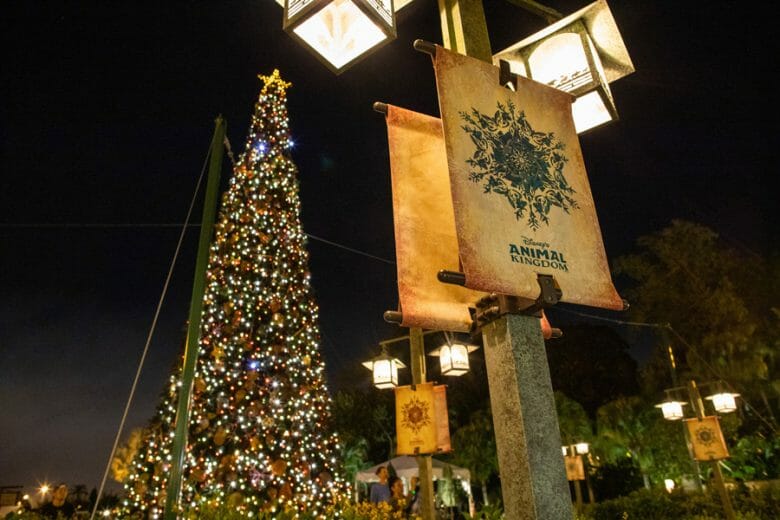 Natal em Orlando - Guia Completo – Disney Point Blog