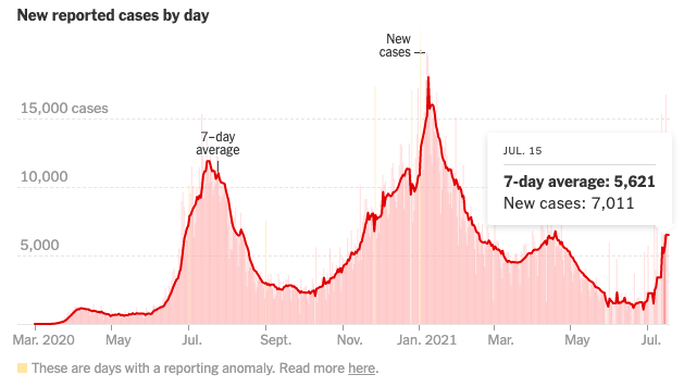 Gráfico de novos casos de Covid reportados por dia de março a julho 