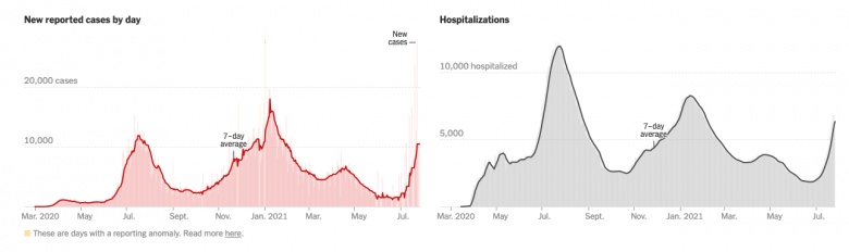 Gráficos mostrando aumento de casos e hospitalizações na Flórida. 
