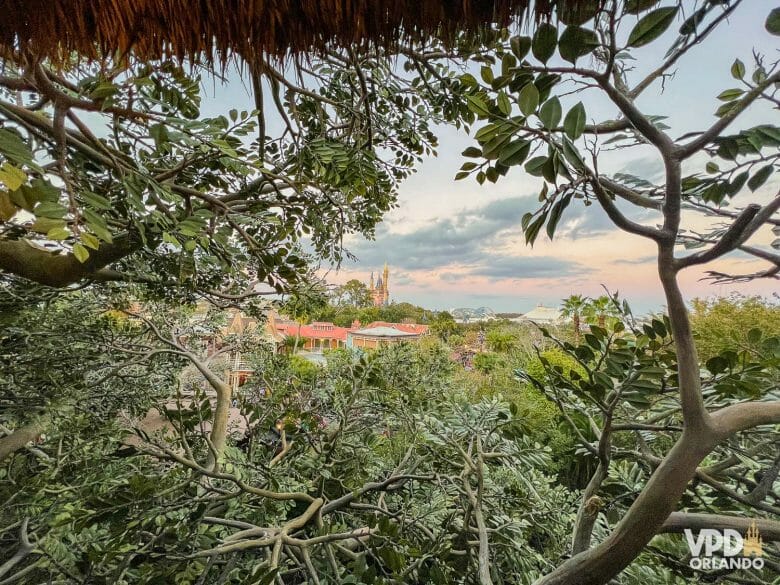 Foto do Magic Kingdom visto de cima, com uma pontinha do castelo visível.