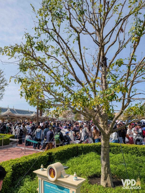 Imagem de grande fila na entrada do Tokyo Disneyland