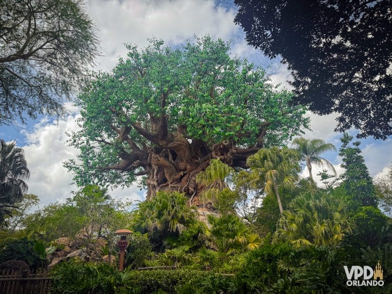 Árvore da vida do Animal Kingdom