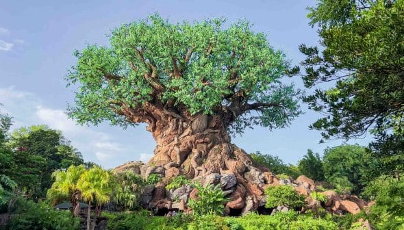 Animal Kingdom: tudo o que você precisa saber antes de visitar