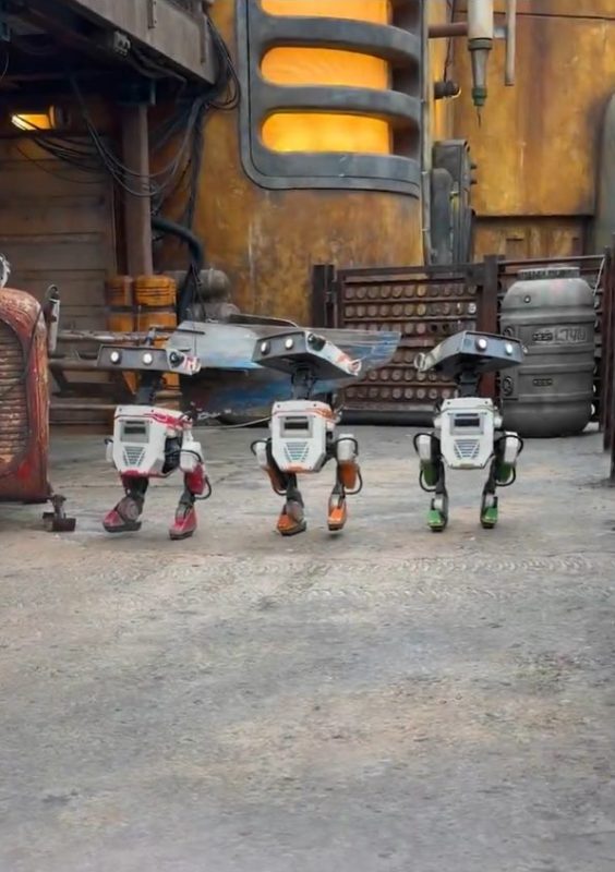 BDX Droids Red, Oskar e Grek no Disneyland Park na Califórnia